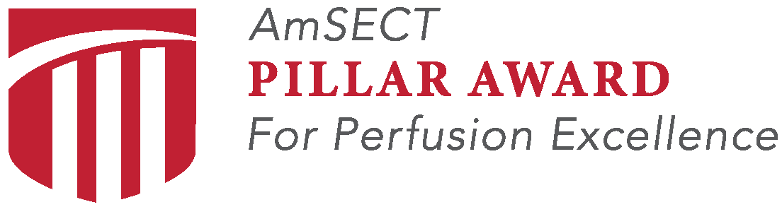 Pillar Award logo